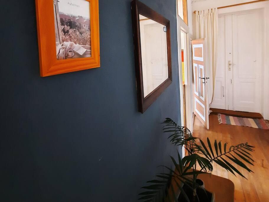 Altbau Charme & Mittendrin Stralsund Dış mekan fotoğraf